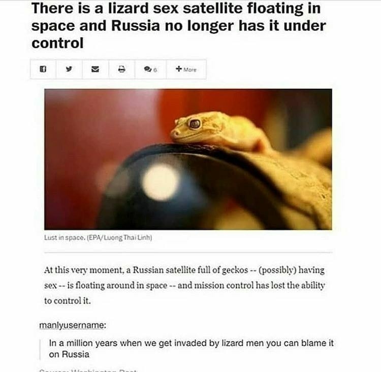Russian sex geckos - meme