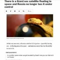 Russian sex geckos