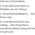 Chuck norris daily facts