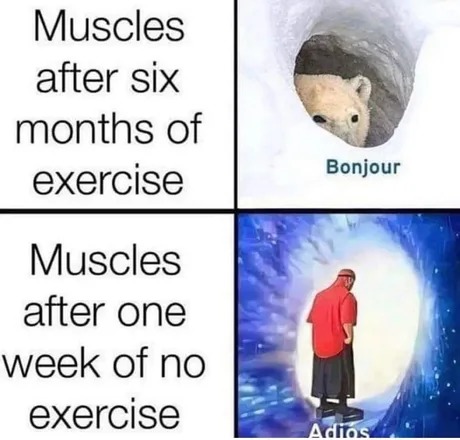Muscles after one week of no exercise - meme
