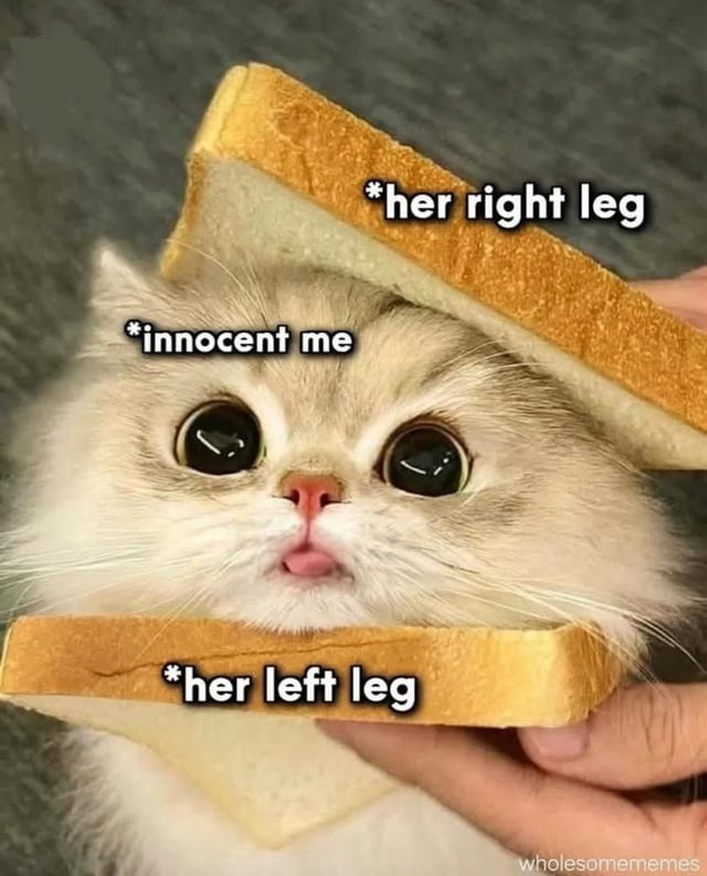 Innocent me vs wholesome memes me