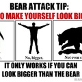 3rd comment was eaten by a bear