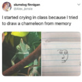 Chamelmelon