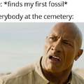 Not the best place to look for fossils