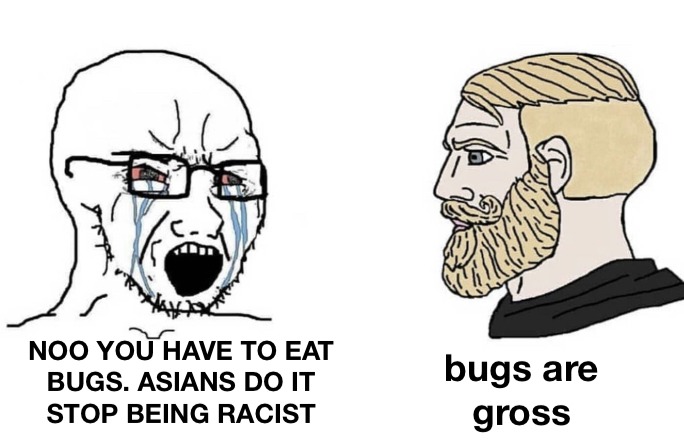 Don’t eat bugs - meme