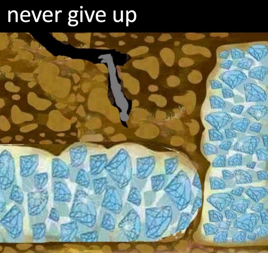 Never give up - meme