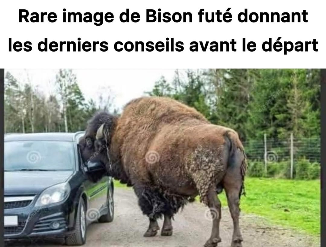 Bison futé en mode Jedi avant les départs en vacances - meme