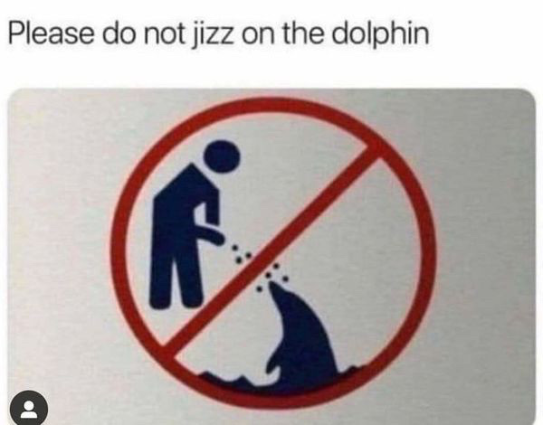 jizz free dolphin - meme