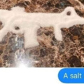 A salt rifle