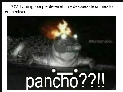 Pancho XD - meme