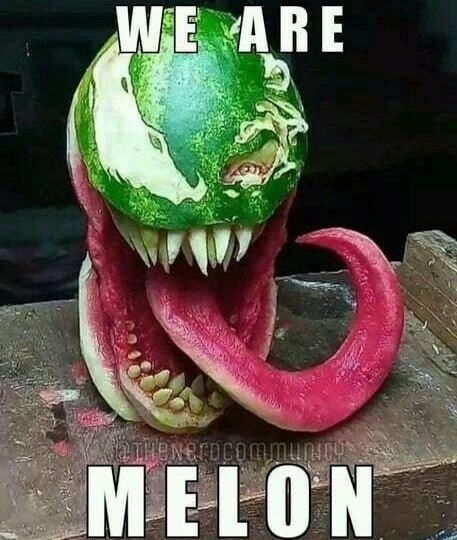 Melon - meme