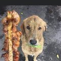 commented item thumbnail