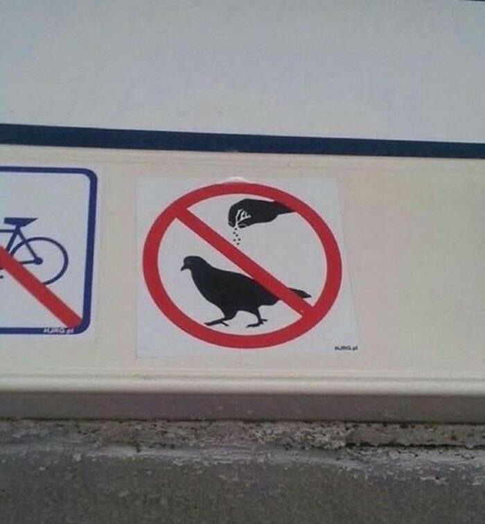 Please do not season the birds. - meme