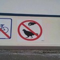 Please do not season the birds.