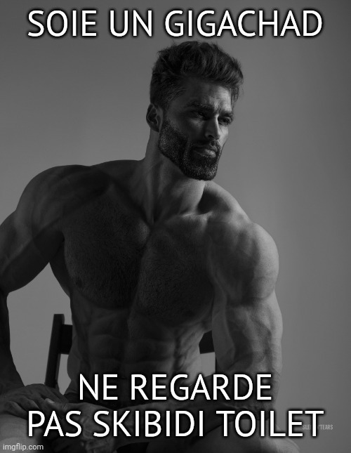 J'espère que vous ne regardez pas ça. - meme