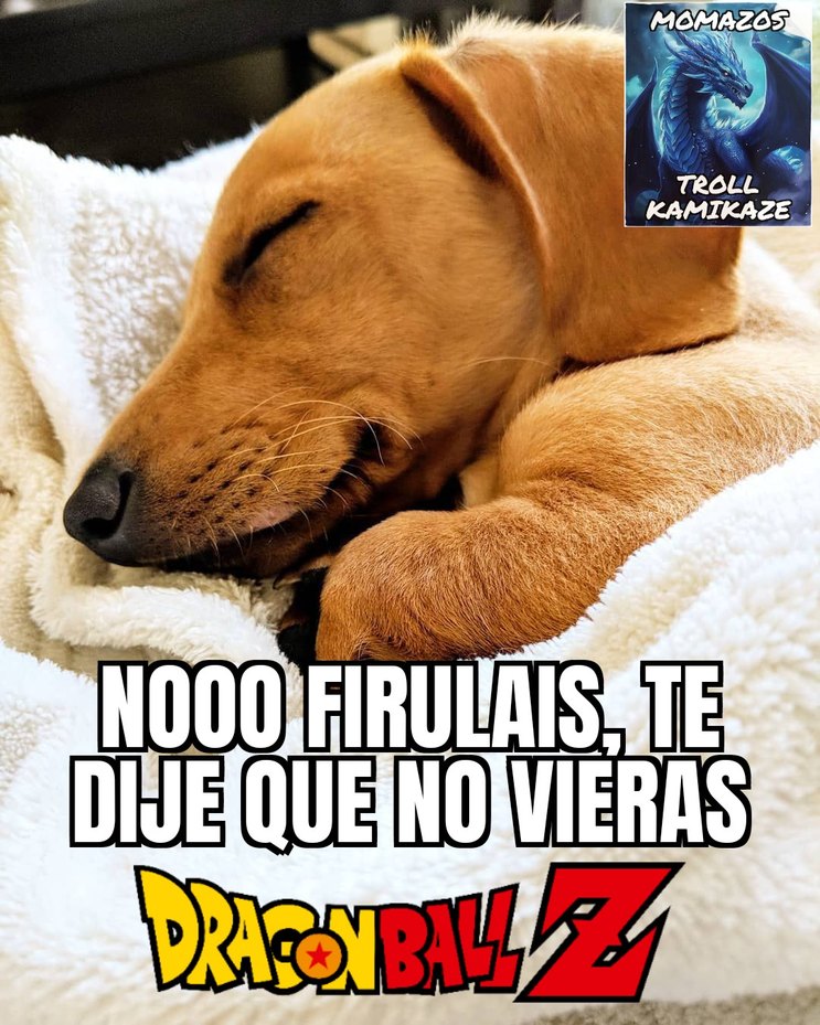 Este meme lo subiré como venganza porque algunos se están burlando de mi porqué hago publicidad de Superman 2025