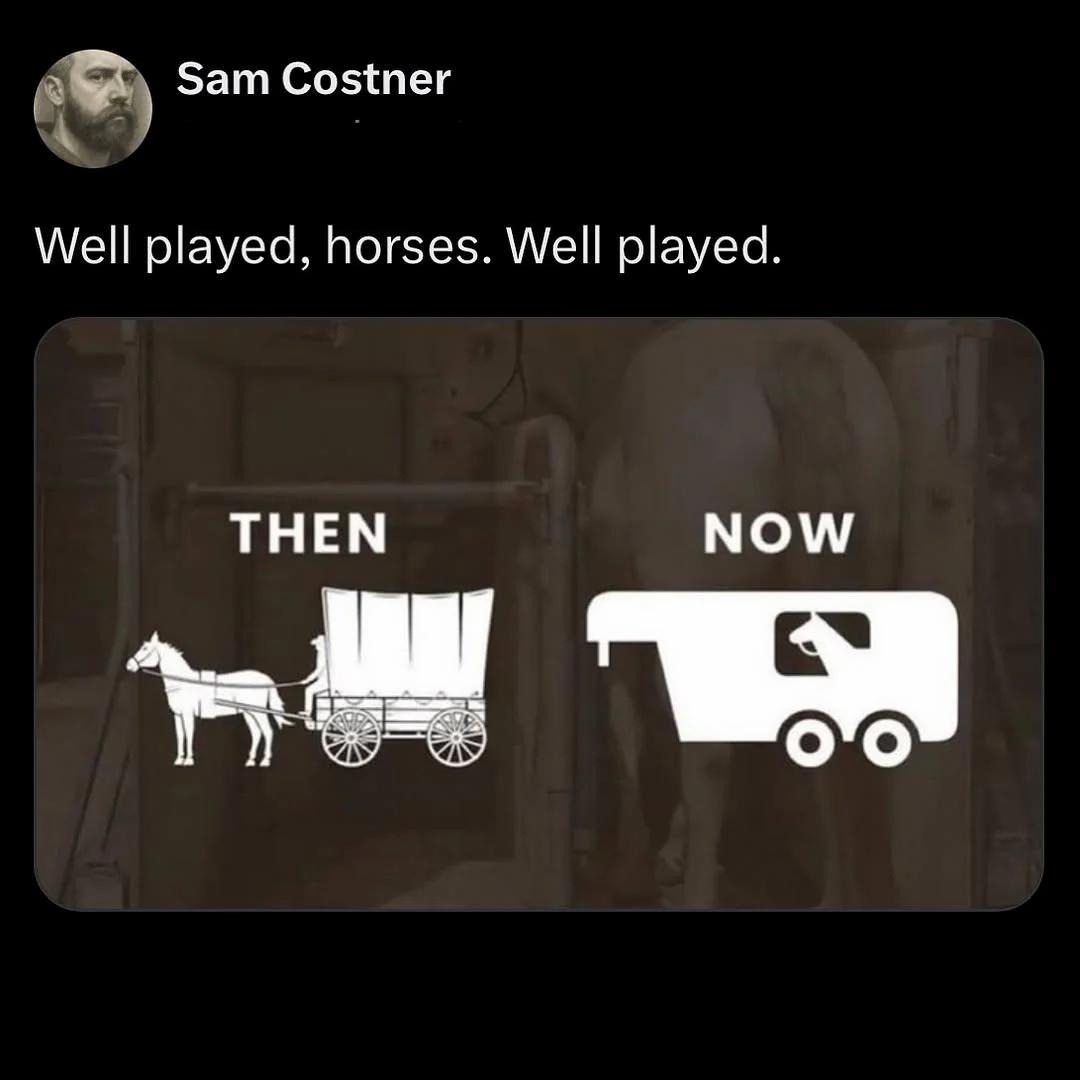 Horse - meme