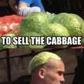 Cabbage buddy