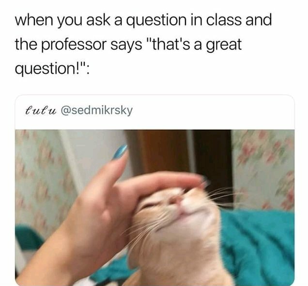 Teacher's pet - meme