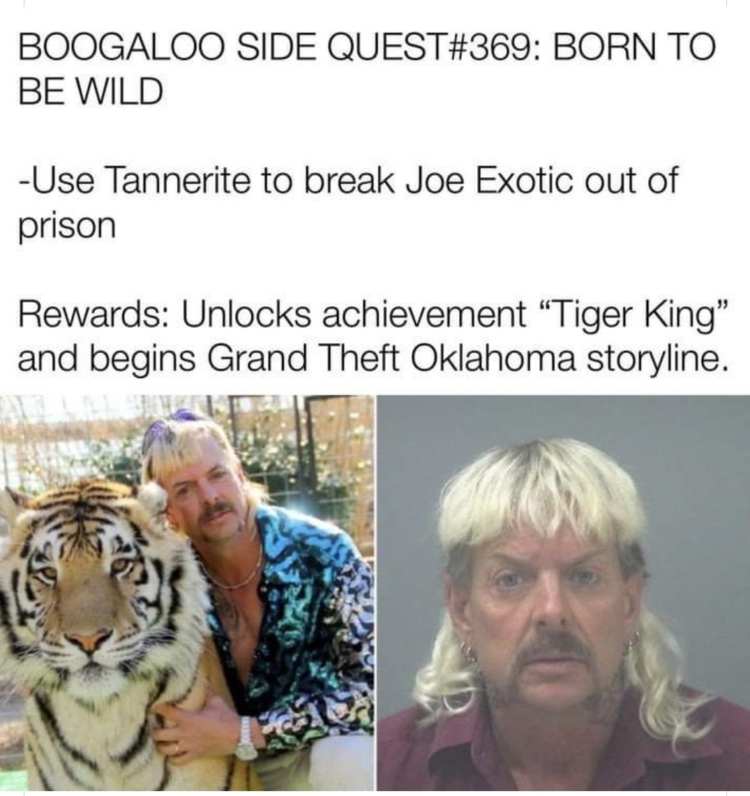 Tiger King - meme