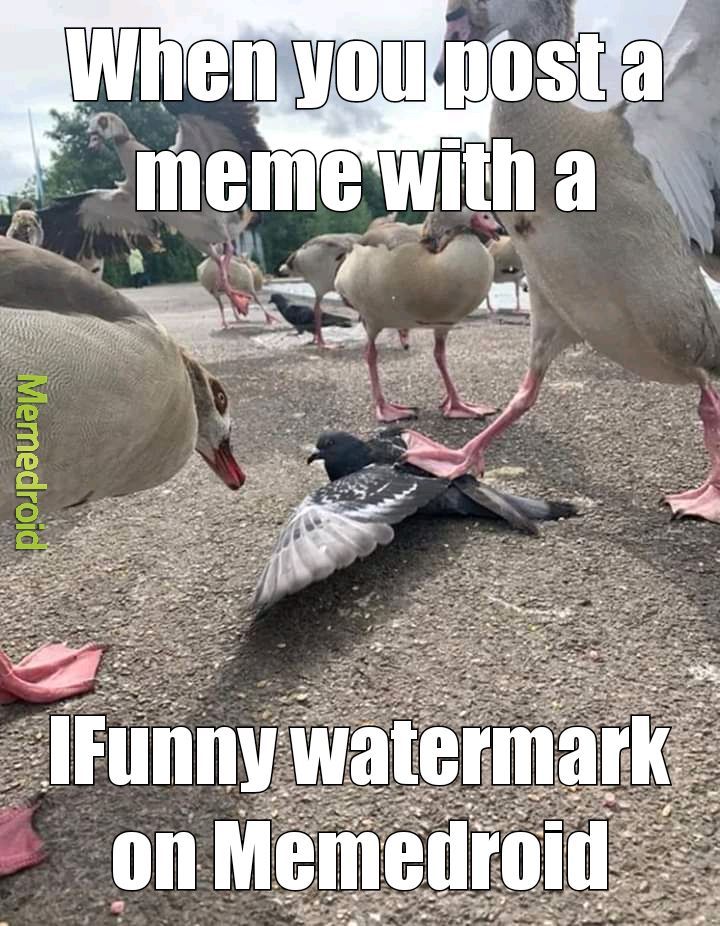 When you post a meme with a IFunny watermark on Memedroid