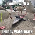 When you post a meme with a IFunny watermark on Memedroid