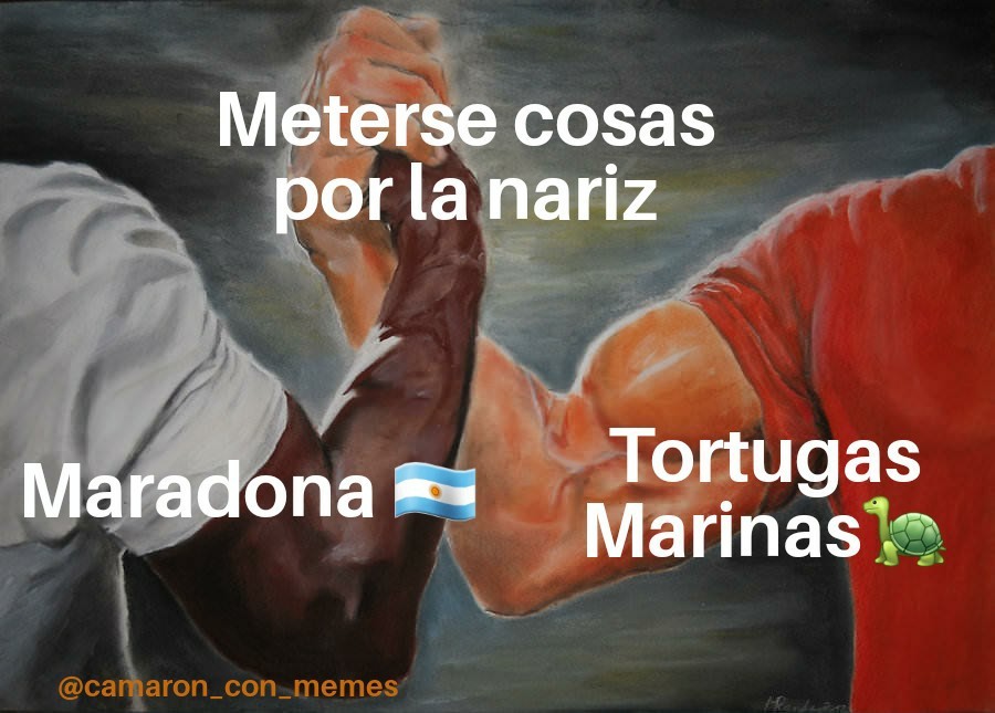 Maradonita papito @camaron_con_memes