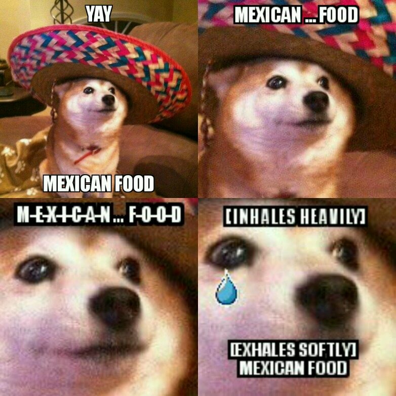 Give the good boi some Mexican food! - meme