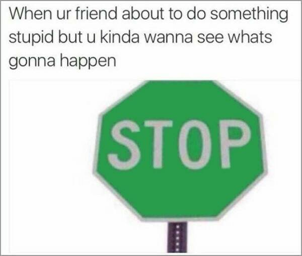 Stop... Or do it...no, stop... Try it just once - meme