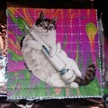 That's one trippy cat