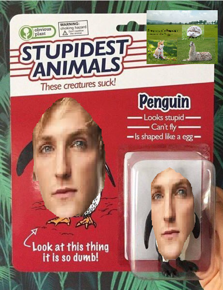 Stupid Animals - meme