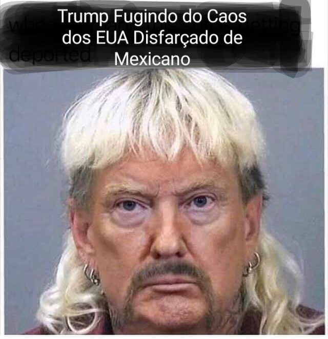 Trump Mexicano Señor - meme