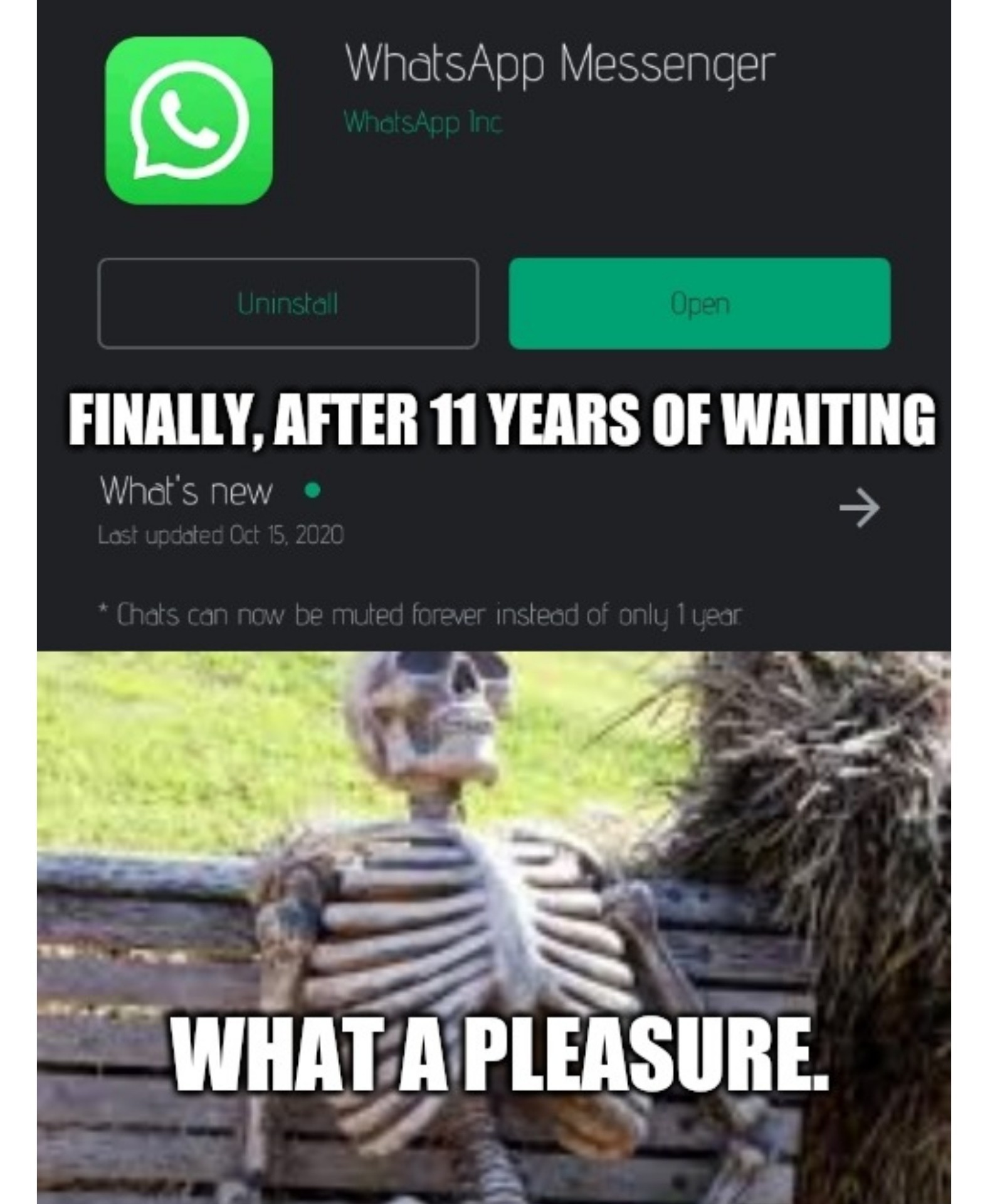 if-whatsapp-was-in-meme-template