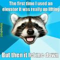 Elevator pun