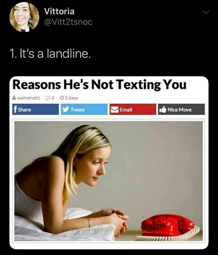 Landline = ligne fixe - meme