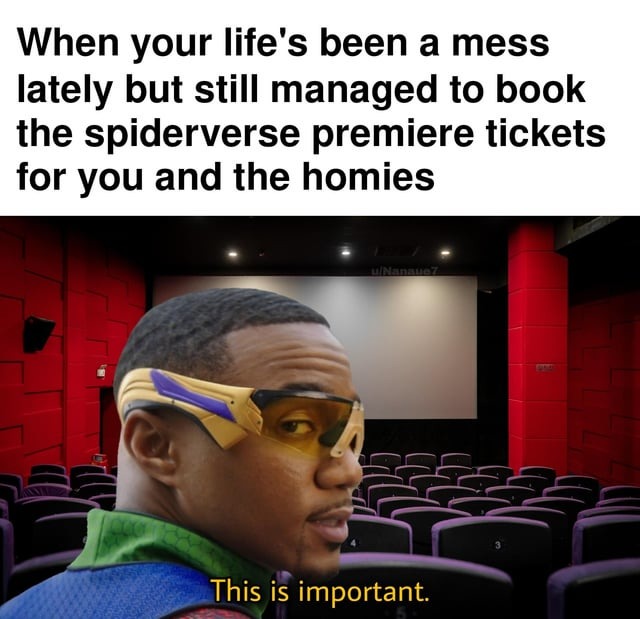 spiderman across the spiderverser meme showing a character in the cinema saying this is important