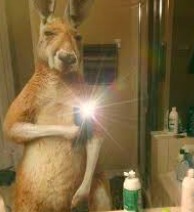 face reveal :D - meme