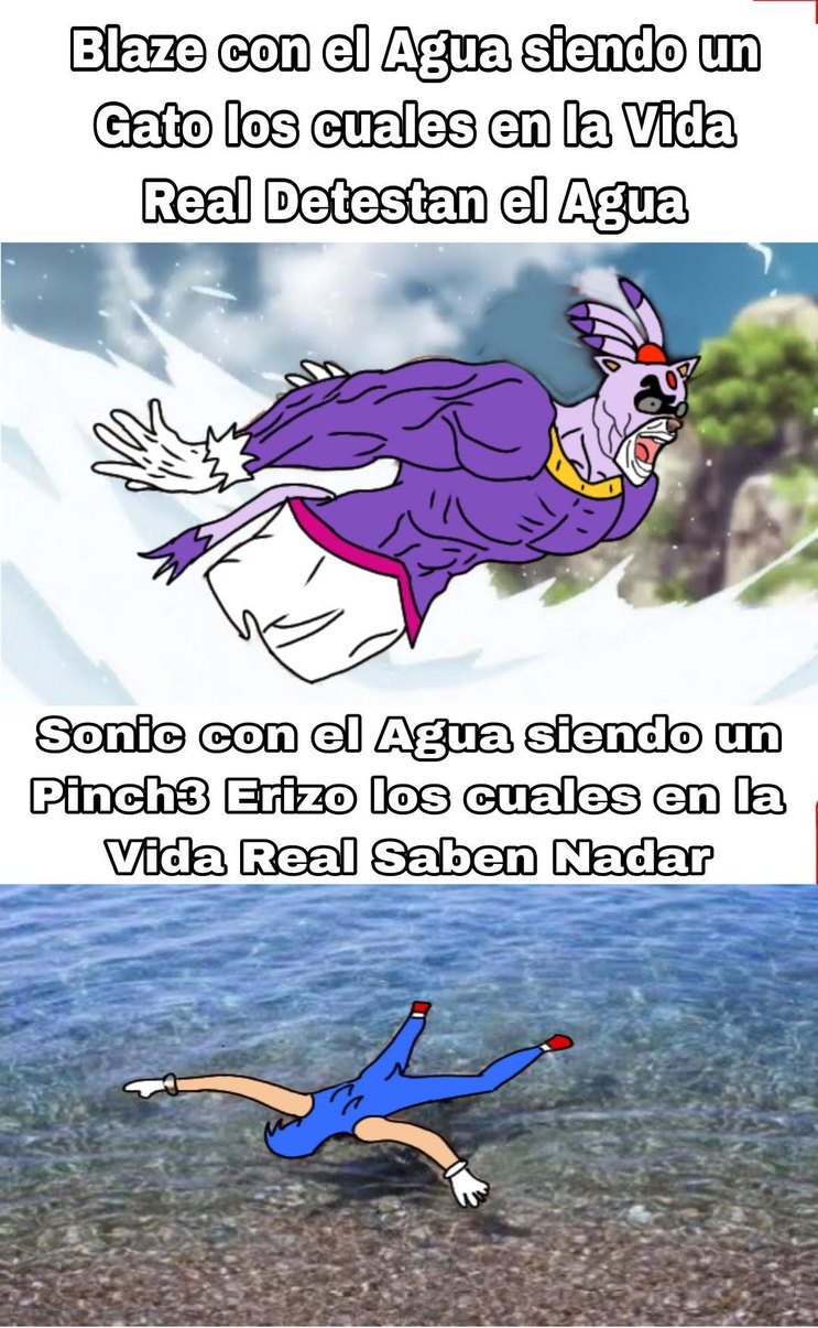 Blaze de paso siendo acrobática y le teme a las alturas al mismo tiempo - meme