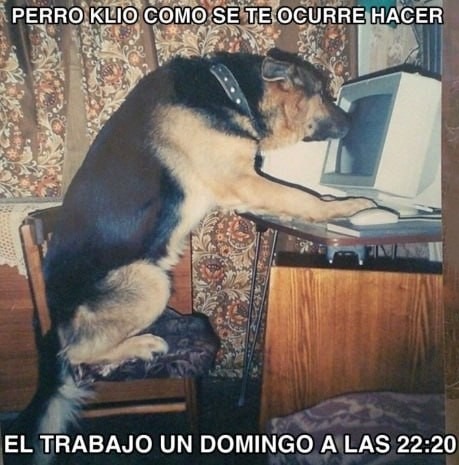 domingo 22:20 humor negro - meme