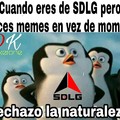 pingüinos de SDLG