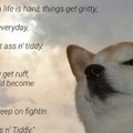 Inspirational Doggo