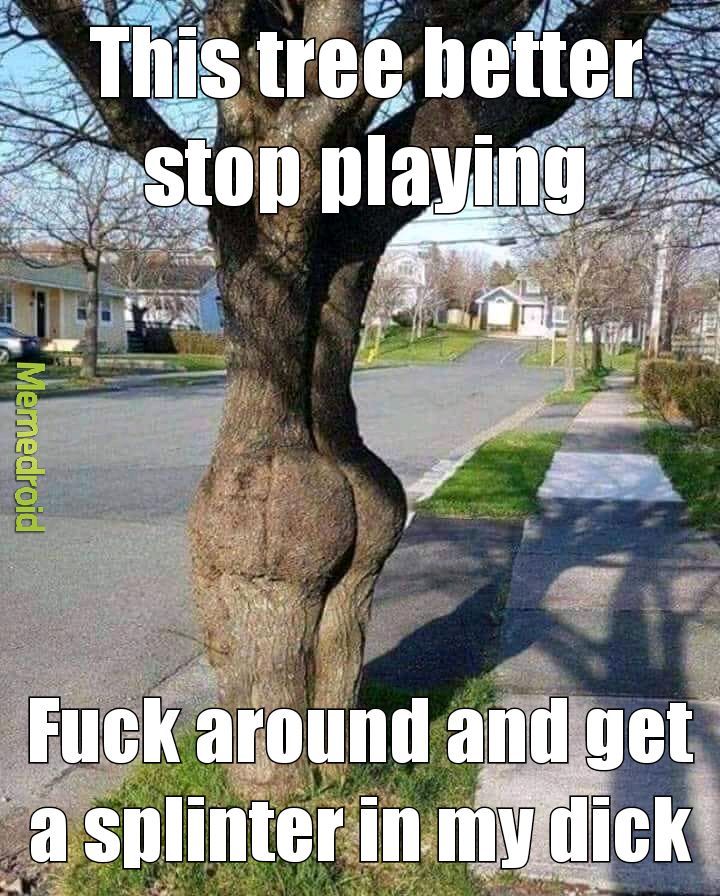 Sexy Tree - meme