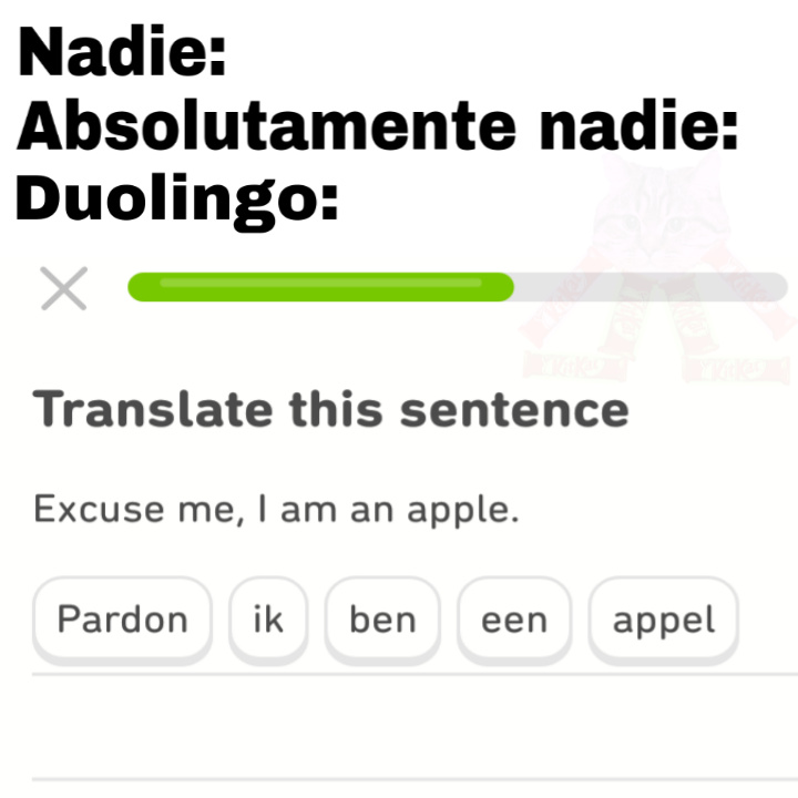 Aprendo idiomas en la manzana - meme