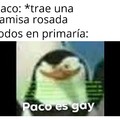 Paco es gay