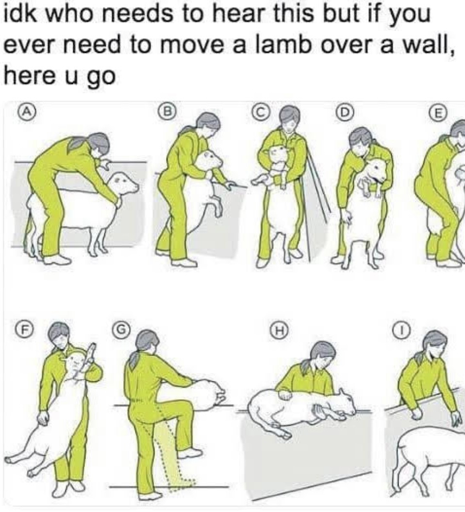 For all you lamb fuckers, here’s a hack - meme