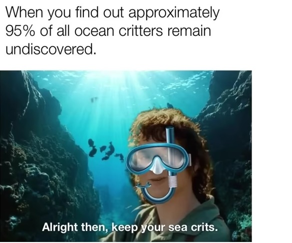lotr ocean meme