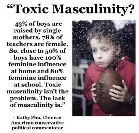 toxic masculinity - meme