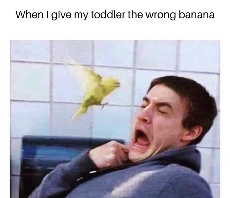 Noooooo! I didn't want that banana! - meme