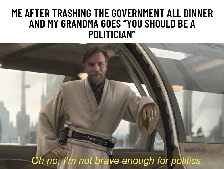 me after roasting the system and grandma says I should run for office - meme