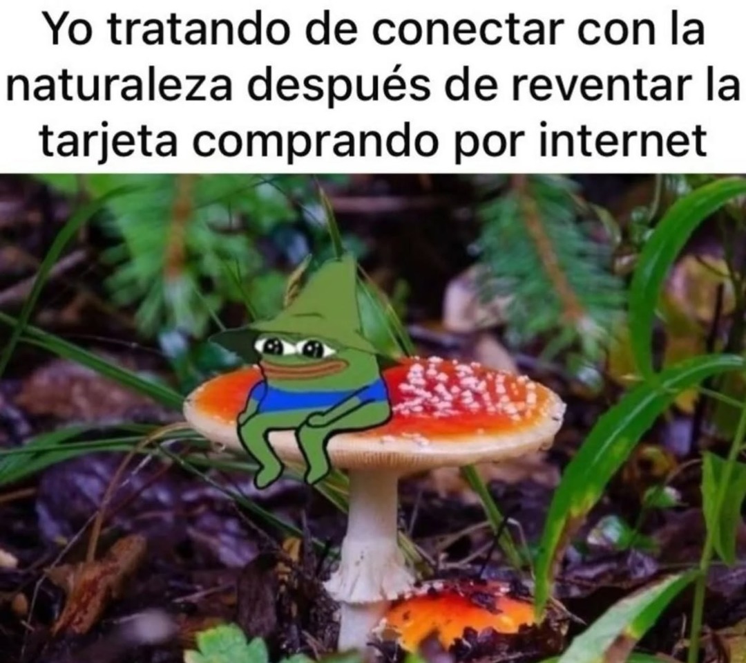 Yo tocando pasto después de fundirme en Shopee - meme